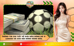 Thông tin chi tiết về giải đấu bóng đá V-League và các đội bóng hàng đầu.