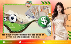 Top những trang nhận định kèo bóng đá uy tín mà dân chơi nên theo dõi.