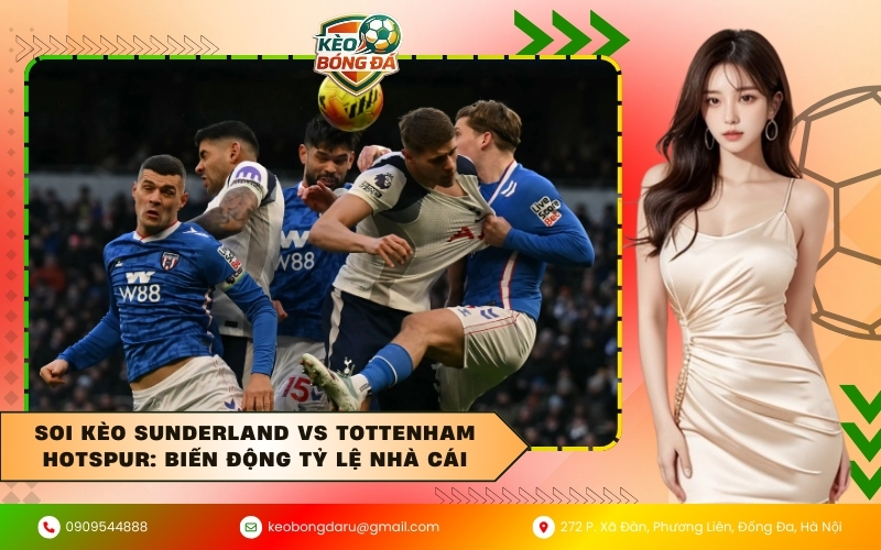 Soi kèo Sunderland vs Tottenham Hotspur: Biến động tỷ lệ nhà cái